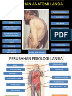 Perubahan Anatomi Dan Fisiologi Lansia