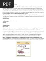 Transporte a Través de Membrana Celular