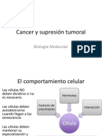 Cancer y Carcinogenesis