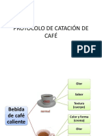 Protocolo de Catacion