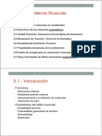 Sistema Muscular: Estructura y Función del Músculo Esquelético