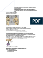 SISTEMA ENDOCRINO Para Estudiar Andres medicina