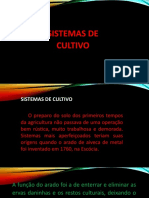 AULA SISTEMAS DE CULTIVO.pptx