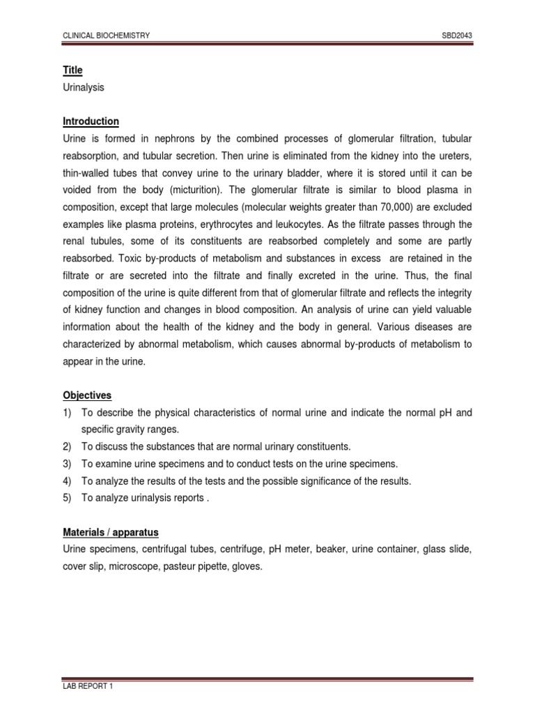 Lab Report 1 Urinalysis Urine Kidney