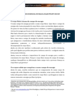 O campo de energia humano.pdf