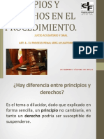 PRINCIPIOS Y DERECHOS EN EL PROCEDIMIENTO..pdf