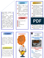 Triptico Carro Energia Solar
