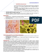 Salmonella Shigella V Cholerae y E Coli