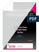 Introducción A La TCC PDF