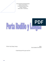 Procedimiento y Parametros de Fundición de Un Porta Rodillo y Lengua