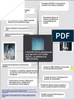 S4 Francisco Flores Esquema PDF