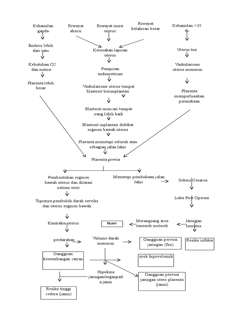 Pathway plasenta previa