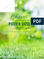 Chaves Para Ativar o Poder Oculto Das Ervas 2017