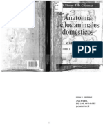 Anatomia de Los Animales Domesticos Getty Tomo I PDF