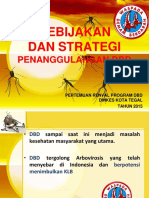 Kebijakan Dan Strategi DBD 2015