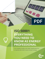 Iso 500001 en