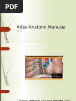 Download atlas anatomi fisiologi tubuh manusiaatlas berwarna tiga bahasa anatomi tubuh manusiabuku atlas anatomi tubuh manusia- 085648004092 by Atlas Anatomi SN355797795 doc pdf