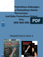Jual Buku Prometheus Gabungan, Jual Buku Prometheus Sistem Pencernaan, Jual Buku Prometheus Sistem Urin, 0856 4800 4092