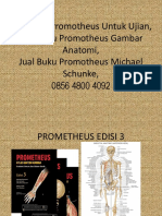 Jual Buku Promotheus Untuk Ujian, Jual Buku Promotheus Gambar Anatomi, Jual Buku Promotheus Michael Schunke, 0856 4800 4092