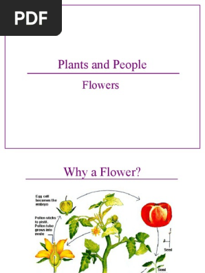 Flowers