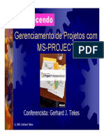 MS Project PDF