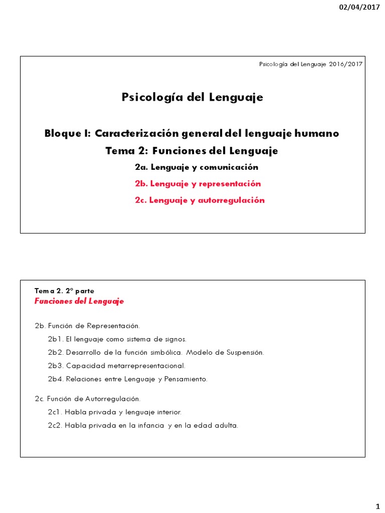2b y 2c Funciones Representacional y Autorreguladora | PDF | Los ...