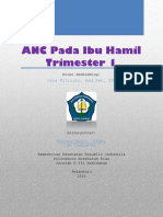 ANC Pada Ibu Hamil TM 1