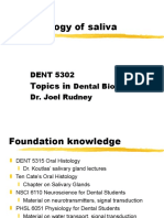 2 Saliva physiology.ppt