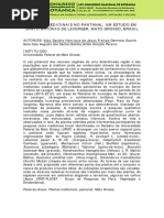 Plantas Sto Antonio Leverger