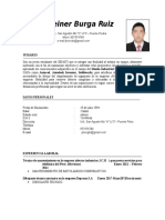 Curriculum Vitae Diseñador Industrial