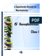 Neuroplasticidad