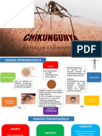 Historia Natural Chikungunya