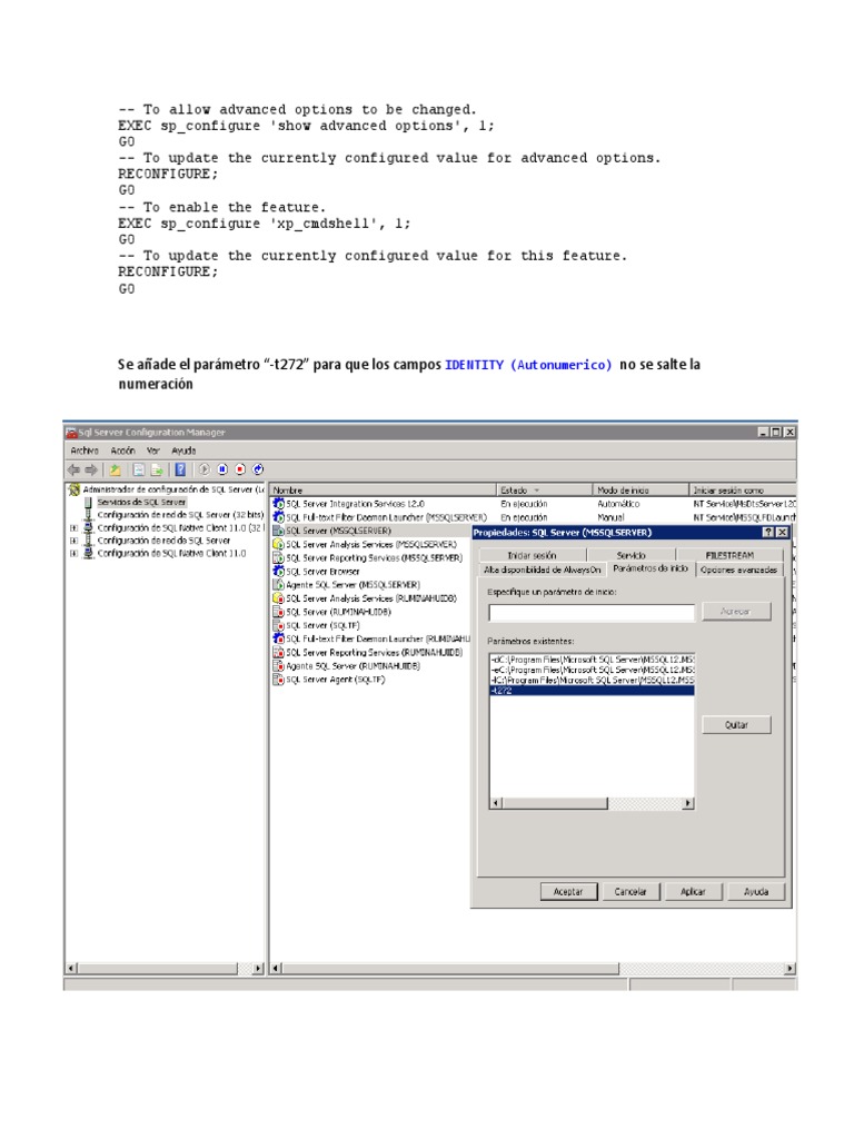 Enable Advanced SQL Server Options | PDF