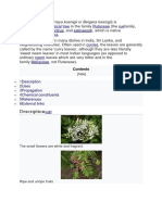 Description: Tropical Sub-Tropical Tree Rutaceae Rue Citrus Satinwood India Sri Lanka Curries