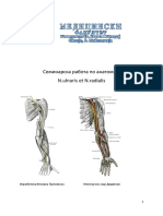 Семинарска Работа По Анатомија Konecno