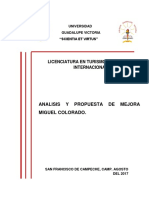 Proyecto Miguel Colorado 