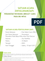 Satuan Acara Penyuluhan(Sap)