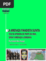 ISIS Amenaza Yihadista Sunita