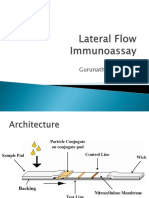 Lateral Flow Immunoassay