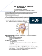 4 Genunchiul Post-Traumatic