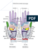 Reflexologia de Las Manos