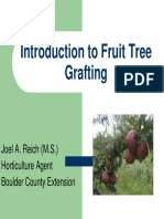 Introduction To Fruit Tree Grafting