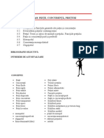 Piete, concurenta, preturi.pdf