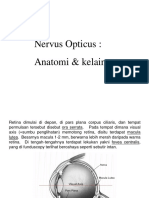 Nervus Opticus