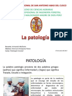 Patología Exp