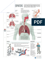 info.pdf