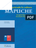 Guía Mapuche para Web PDF