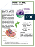 Poster Biologia PDF