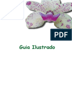 Guia Ilustrado Orquideas PDF