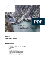 Practica 1 - Fluidos